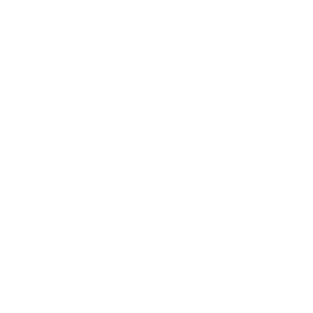 Logo Wordpress